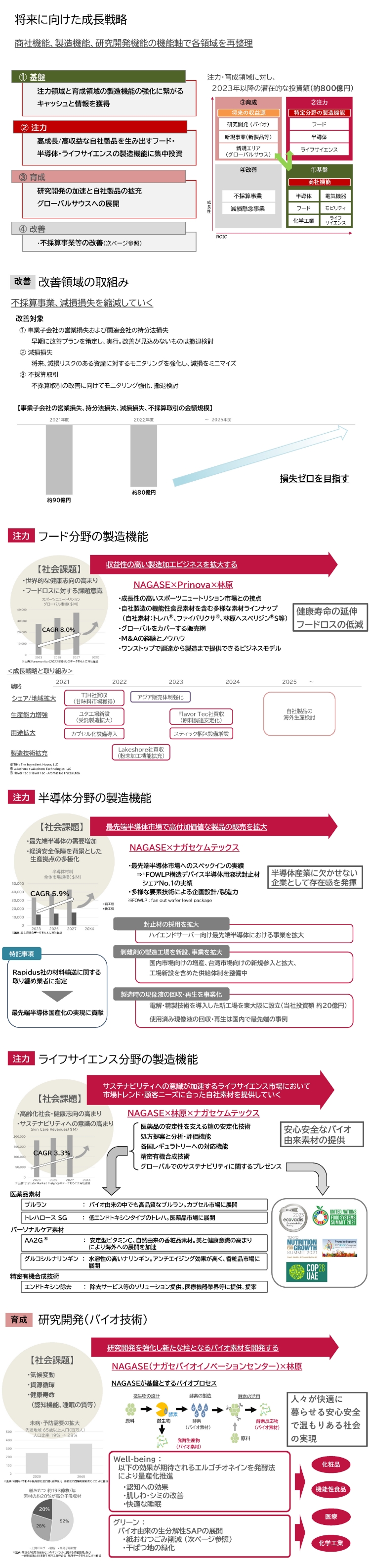 2023年11月24日公表「将来に向けた成長戦略」