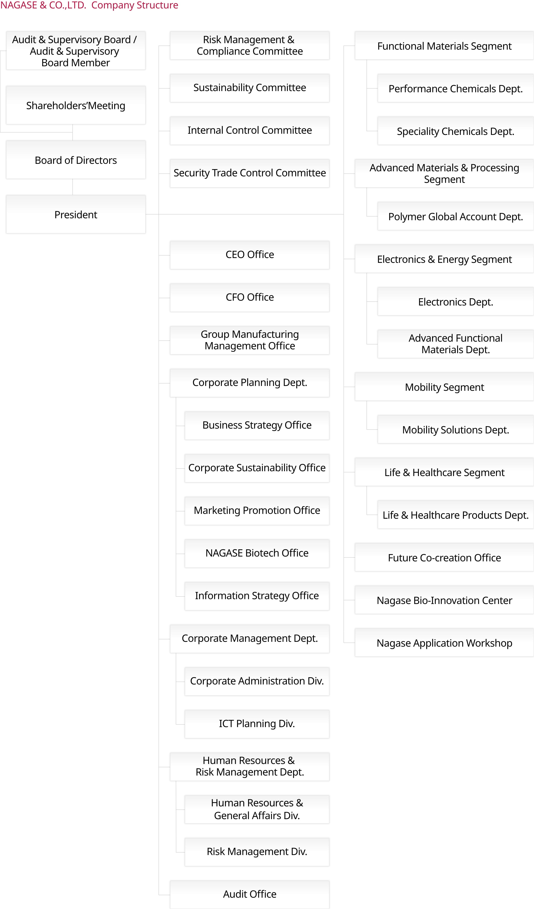 Organization