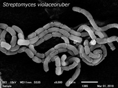 Nagase Bio-Innovation Center