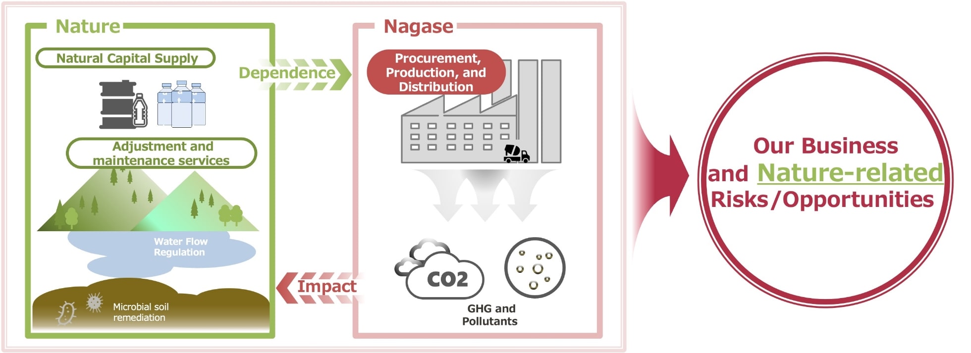 NAGASE Group's Business and Nature Relationship (Example)