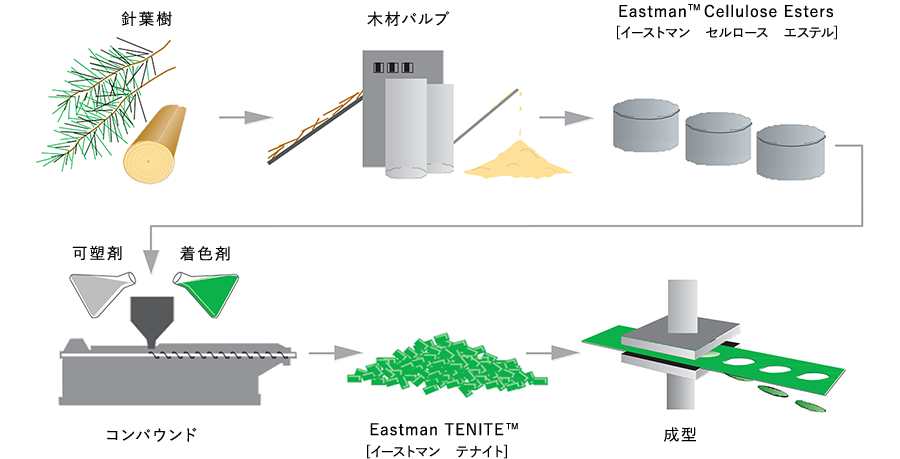 TENITE™セルロースとは